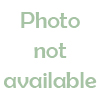 Photo not available